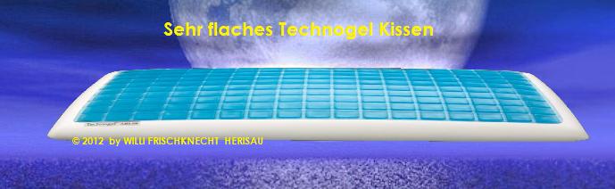 Technogel Classic  11 66x40x07